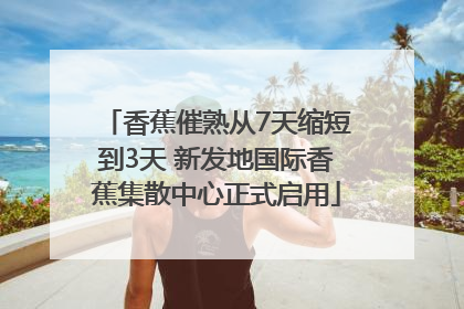 香蕉催熟从7天缩短到3天 新发地国际香蕉集散中心正式启用